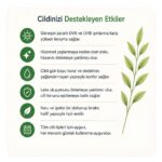 Anti-Stain Leke Karşıtı Güneş Kremi SPF 50+ 50 ML - Görsel 4