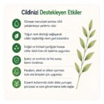 After Sun - Güneş Sonrası Bakım Jeli 150 ML - Görsel 4