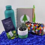 Think Green – Çevreci Hediye Kutusu - Görsel 2